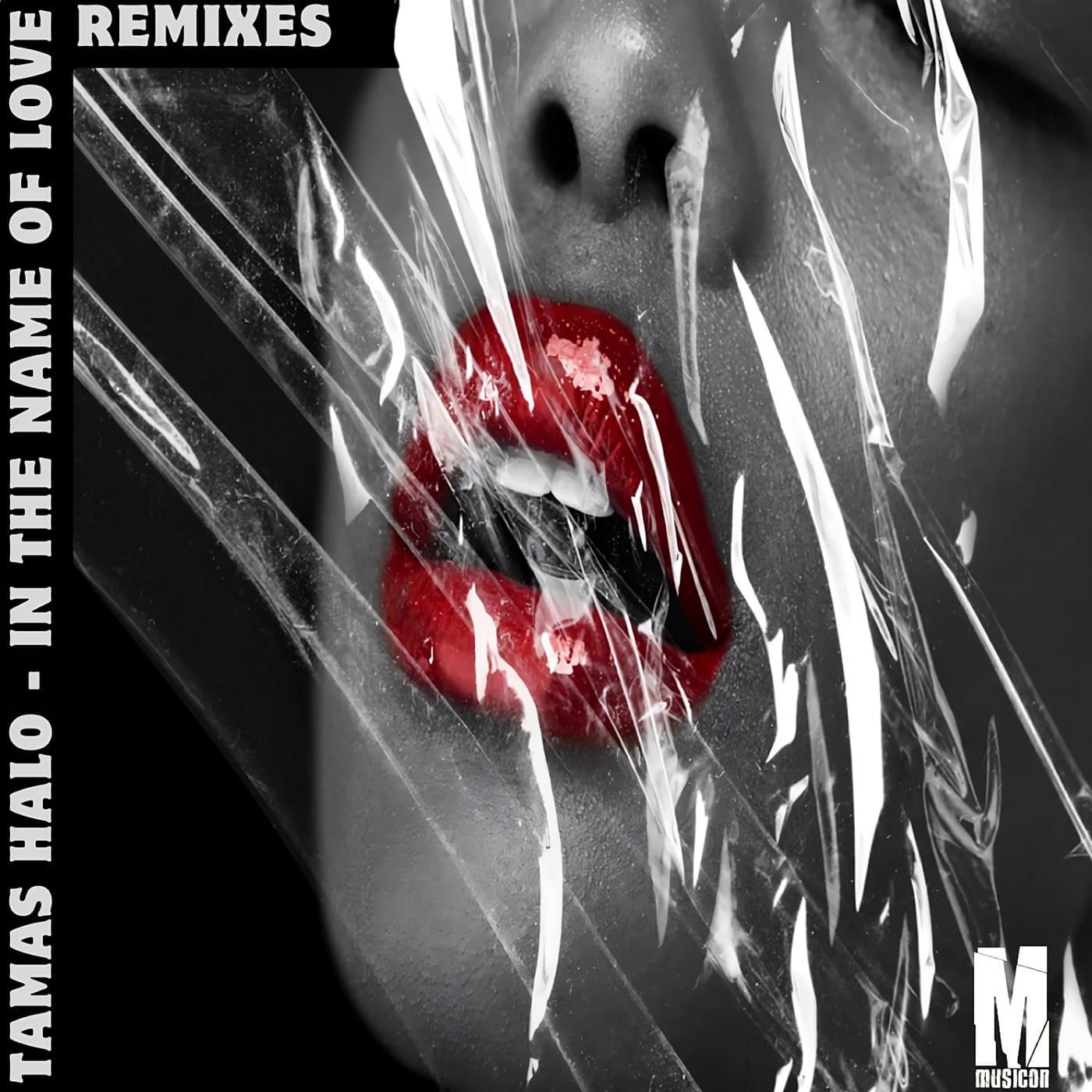 In the Name of Love (Daniel Distinkt Remix) cover art