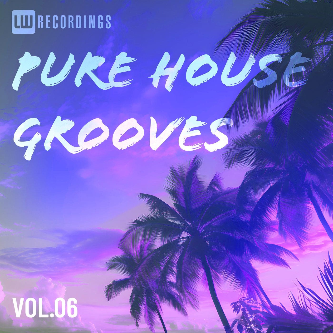 Pure House Grooves, Vol. 06 cover art